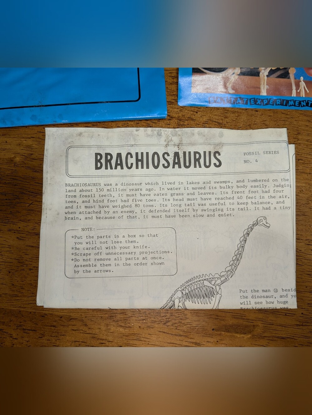 VTG 1980s Battat Brachiosaurus Skeleton Kit - Picture 2 of 7